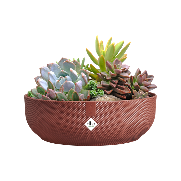 jazz bowl 28cm rouge toscane